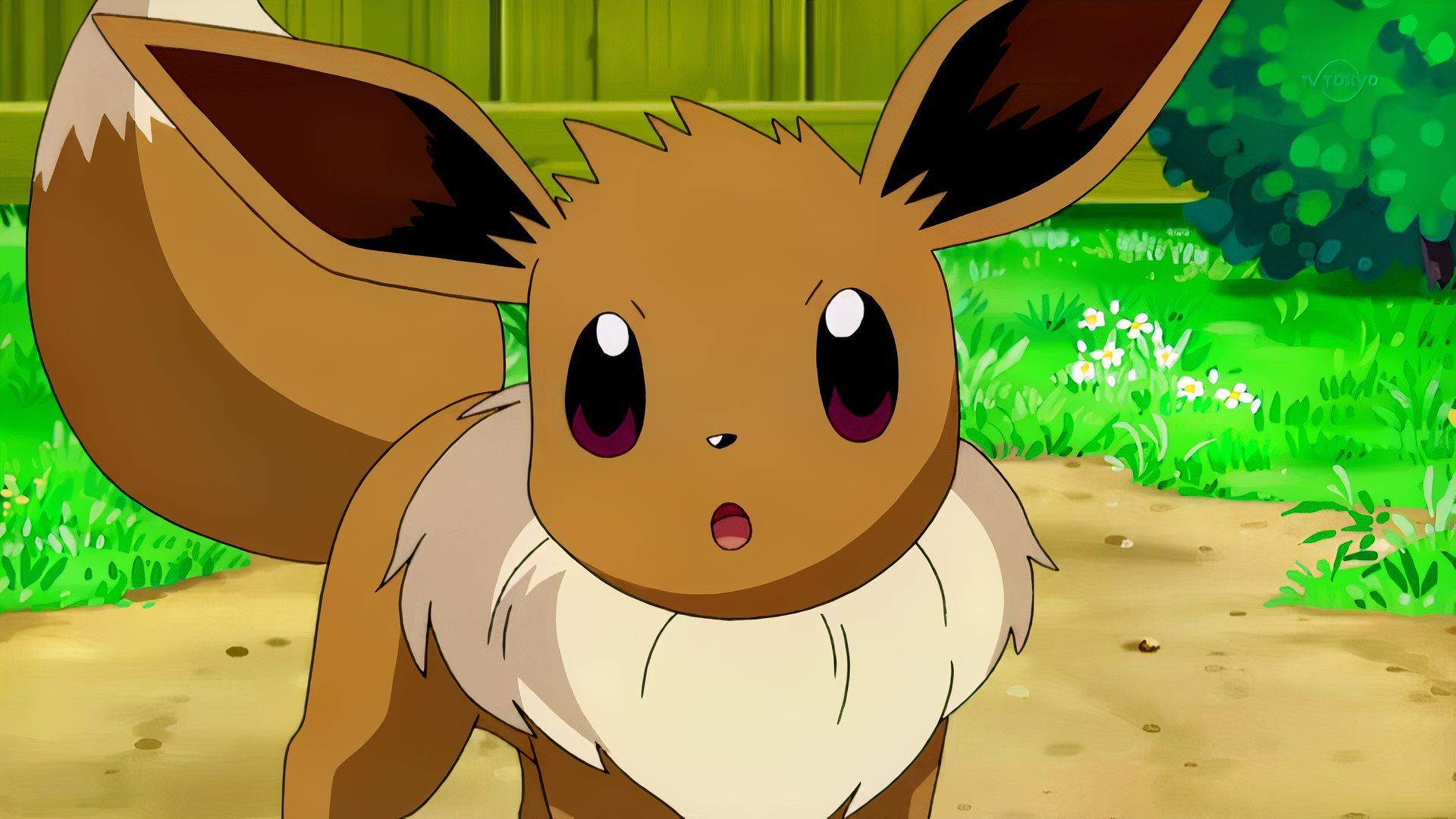 Eevee Raksasa Hadir Rayakan Ultah ke-30