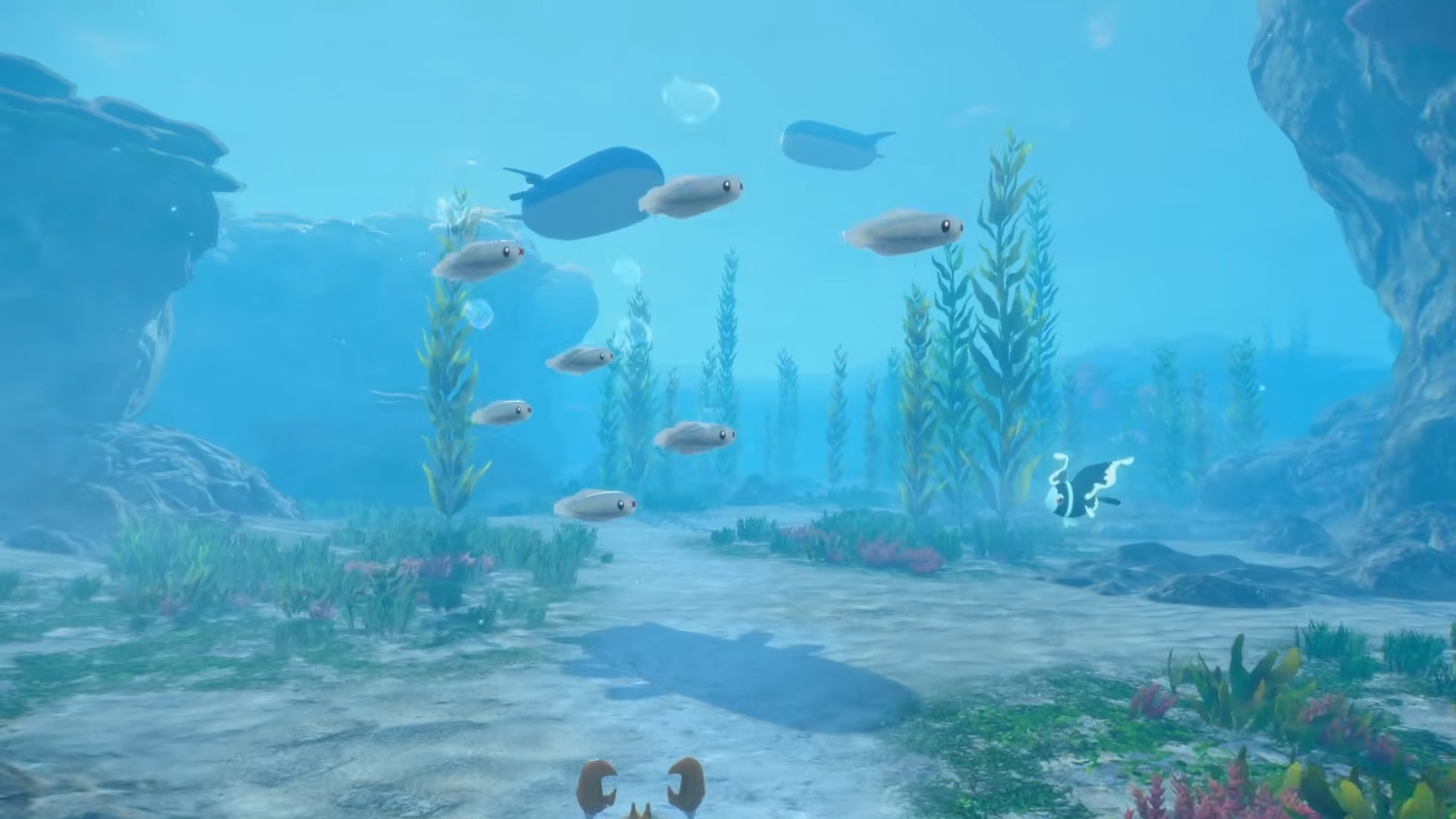 Bocoran Baru Pokemon Winds and Waves Viral